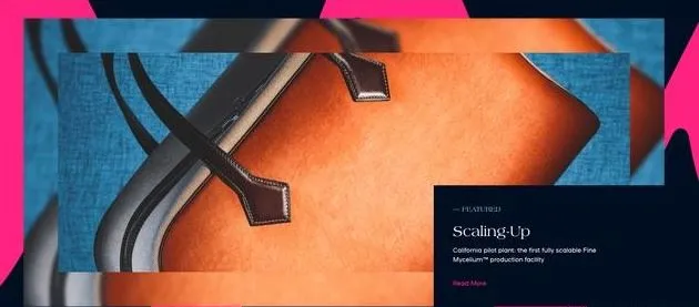 순수한 평범한 바람이 추구됩니까? 헤르메스를위한 가방을 만들기 위해 버섯을 사용하는 기업은 수억 달러의 자금 조달을 받았습니다.